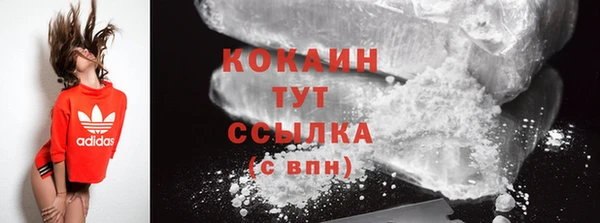 гашик Анжеро-Судженск