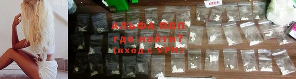 винт Анива