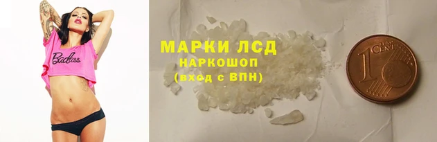 гашик Анжеро-Судженск