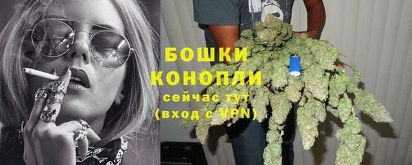 гашик Анжеро-Судженск